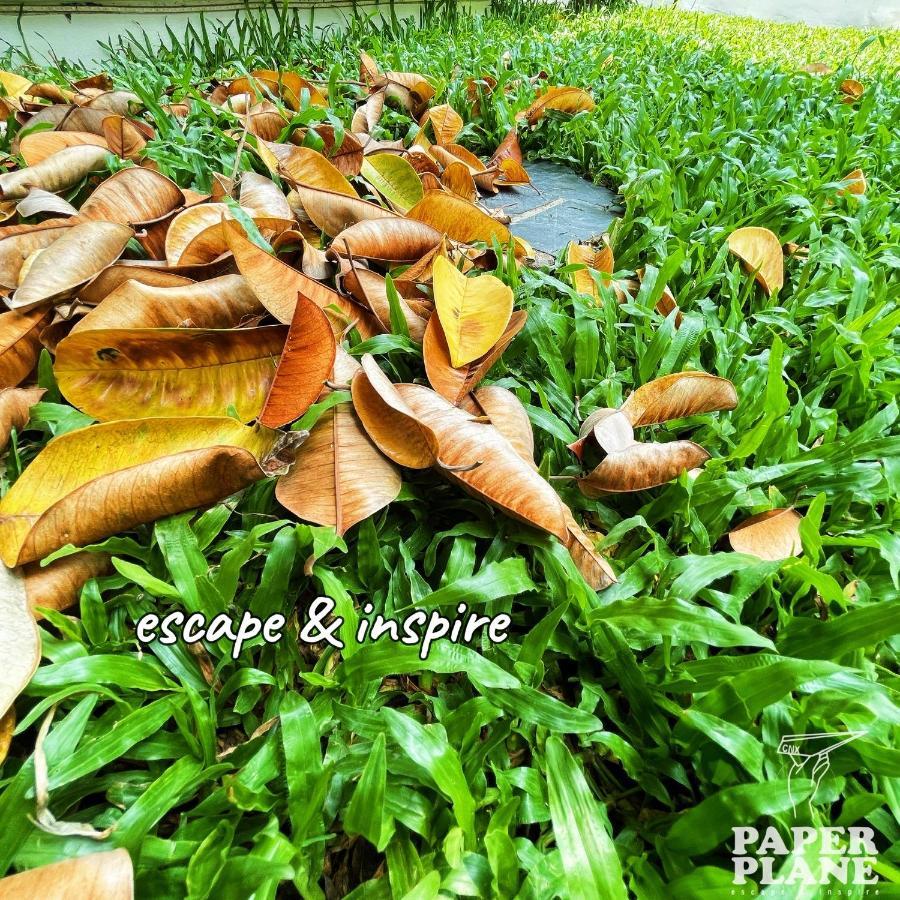 チエンマイ Paper Plane Cnx Bed & Breakfast エクステリア 写真